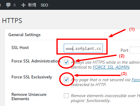 wordpress https setting page